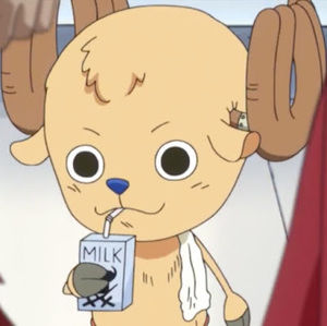 Meet your Posher, Noah